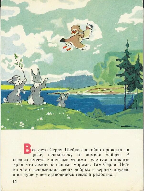 У серой шейки замерло сердце. Серая шейка иллюстрации. Мамин Сибиряк серая шейка рисунок. Рассказ серая шейка.