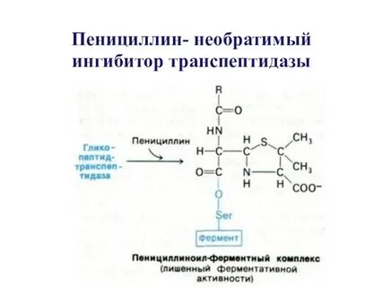 С 1 ингибитор