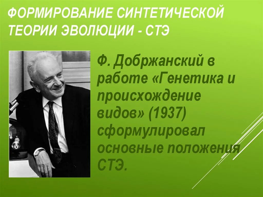 Синтетическая теория эволюции (ф. Добржанский, э. Майр, д. симпсон).. Формирование синтетической теории эволюции. Основные положения синтетической теории эволюции.