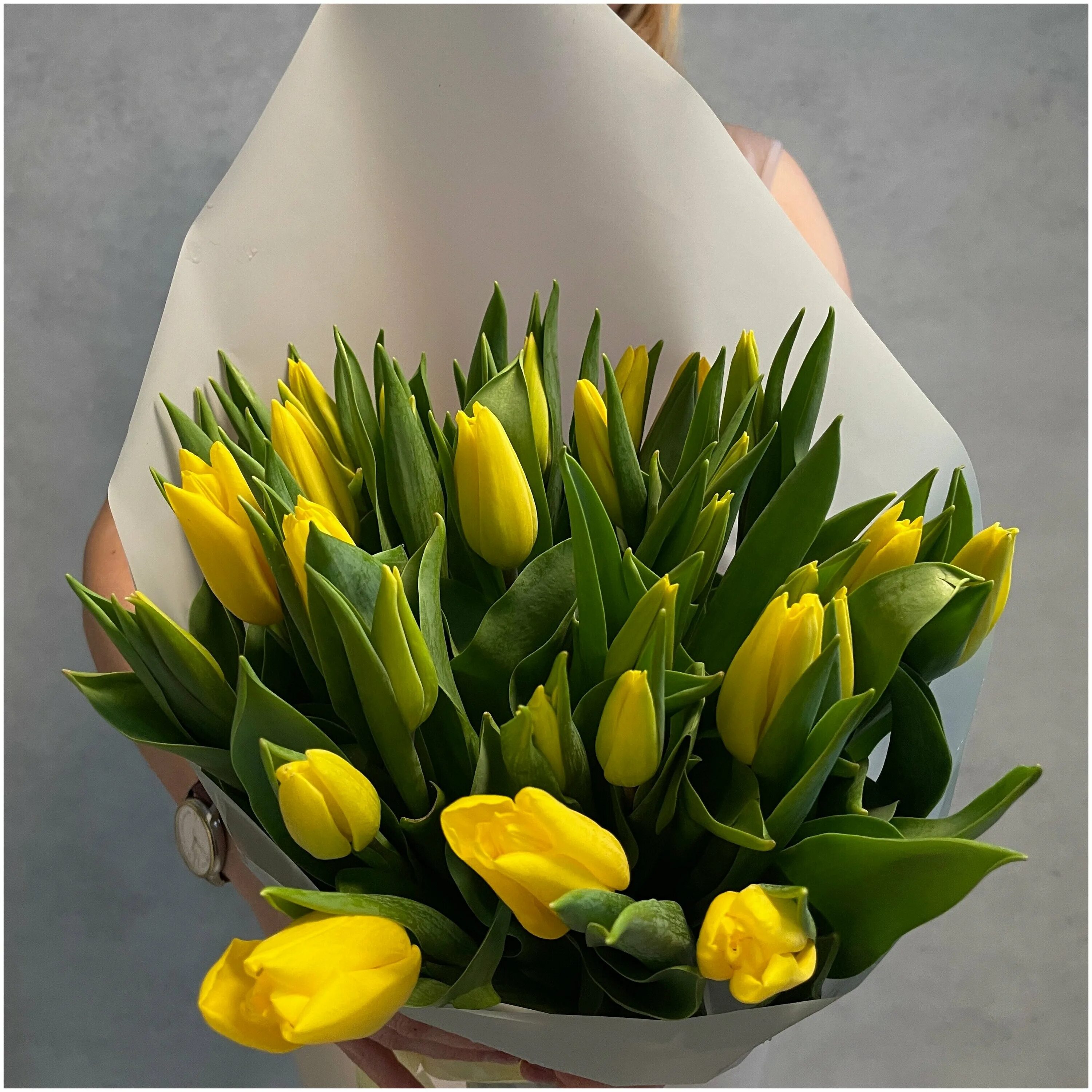 тюльпаны поштучно. тюльпаны поштучно. 1 красный тюльпан. тюльпаны поштучно. букет 11 тюльпанов крафт.