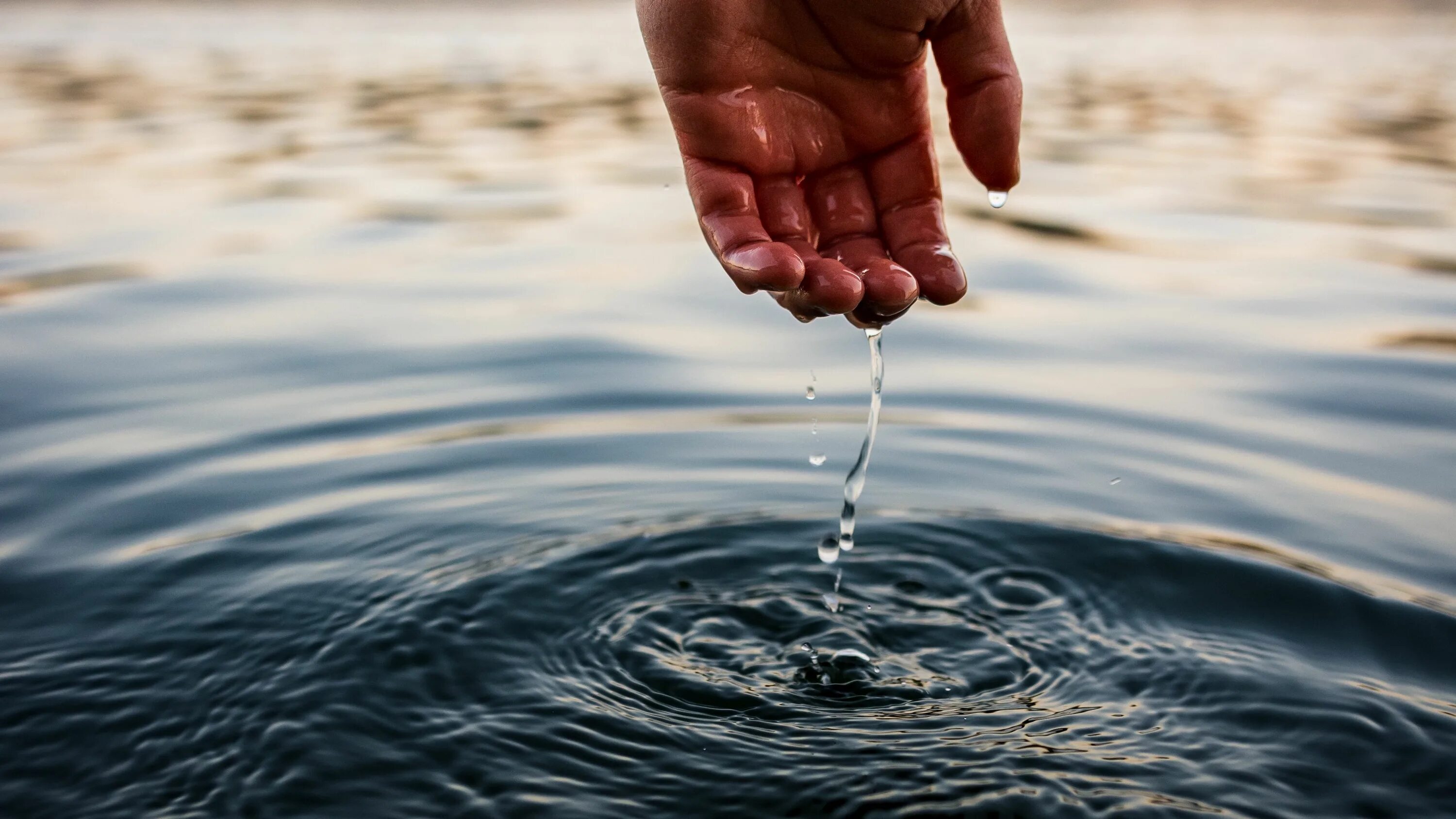 Вода в руках. Вода фото. Вода из реки. Рукой по воде. Drop hands