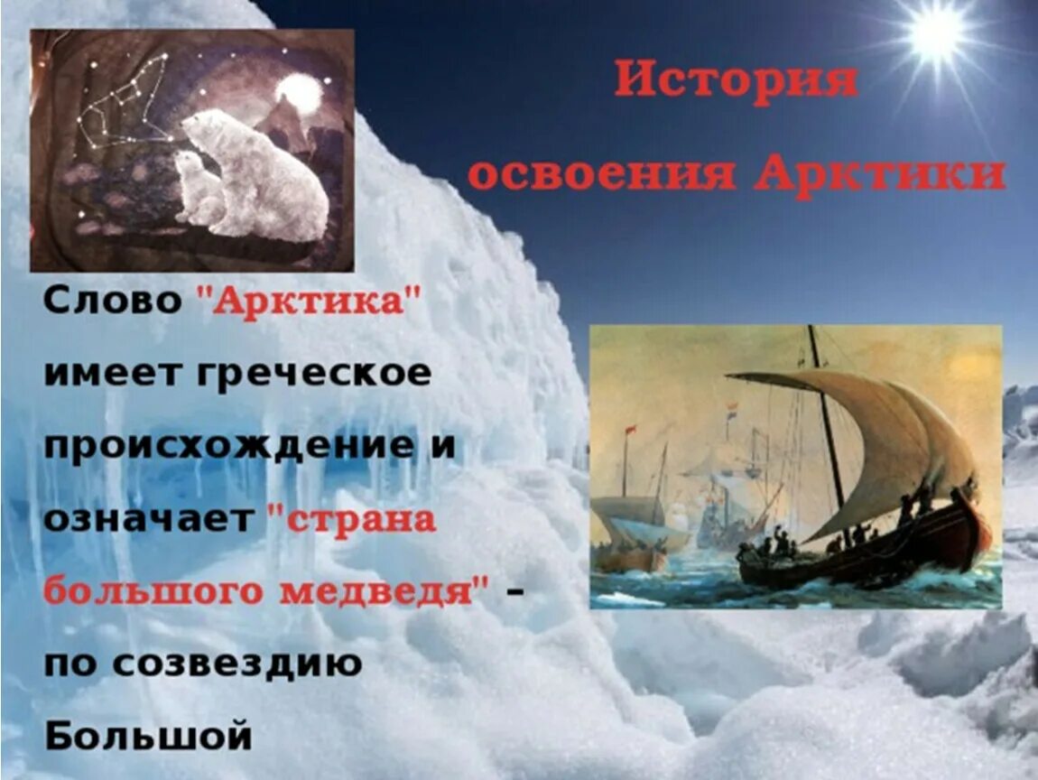 Слово арктика происходит. Слово арктика происходит. Антарктида анти это. Почему арктика. Растительный и животный мир северного ледовитого океана.