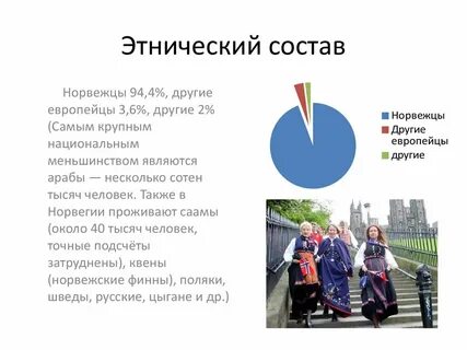 Нидерланды состав населения