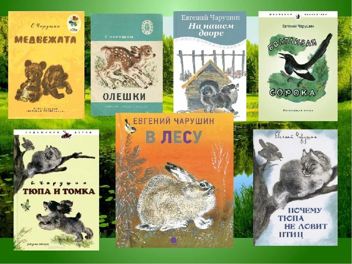 Произведения про зверей. Обложки книг Чарушина для детей. Обложка книга о животных Чарушин.