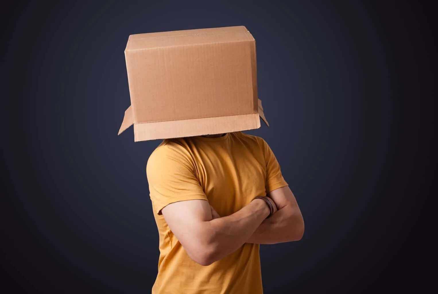 Картонный человечек danbo. Битард на аву. Робот из гофрокартона. Картонная башка. Картонный человечек.