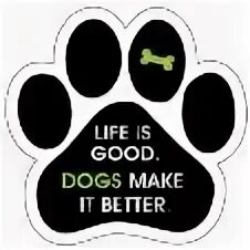Make dog