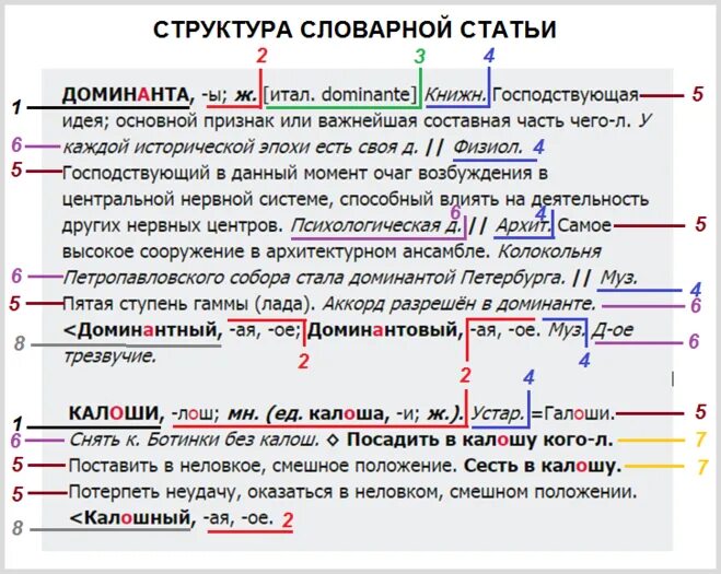 Слова стали ссылками. Структура словарной статьи. Строение словарных статей. Зоны словарной статьи. Строение словарной статьи.