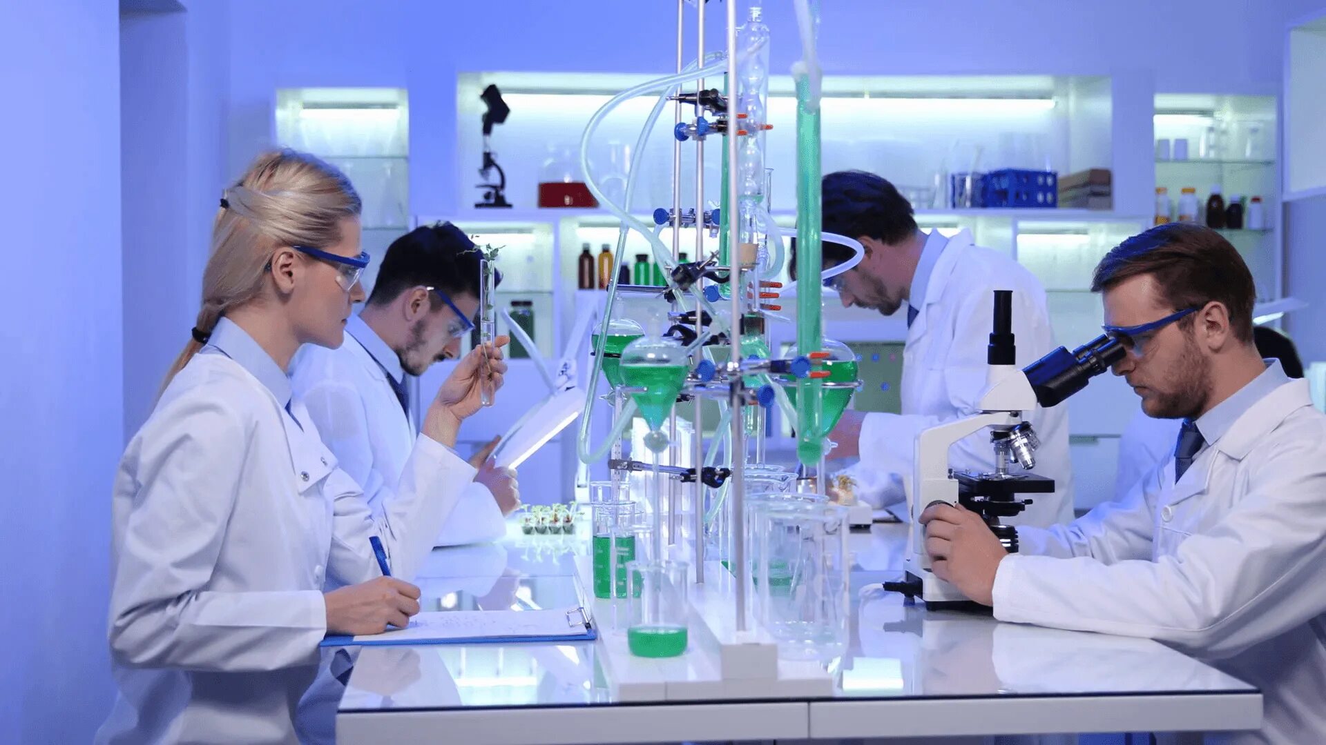 Working labs