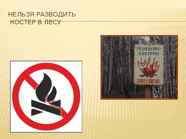 Нельзя разжигать огонь в лесу. Запрещено разводить костры. Знак нел ЗЯ разжигать коатре. Нельзя разжигать костер.