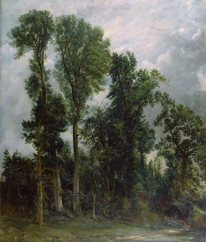 John tree