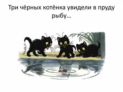 Три котенка черный рыжий и белый