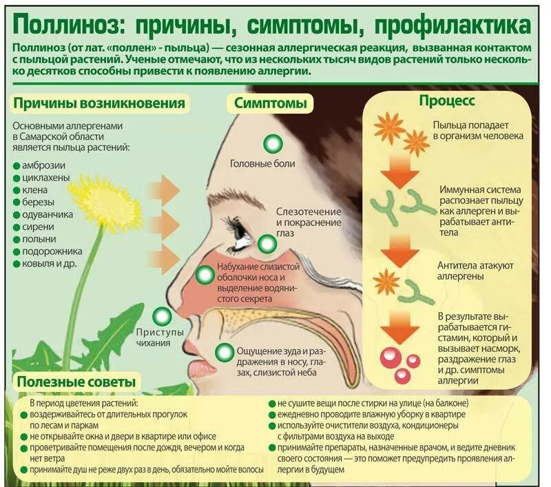 Симптомы аллергии на цветение. Сенная лихорадка поллиноз симптомы. Поллиноз Сенная лихорадка у детей. Аллергический ринит и поллиноз. Поллиноз (аллергия на пыльцу).