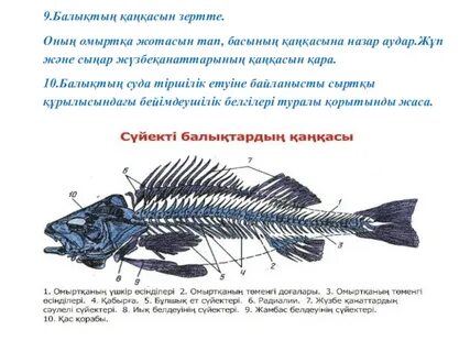 Қалыңдықты құрбысымен сиқытты