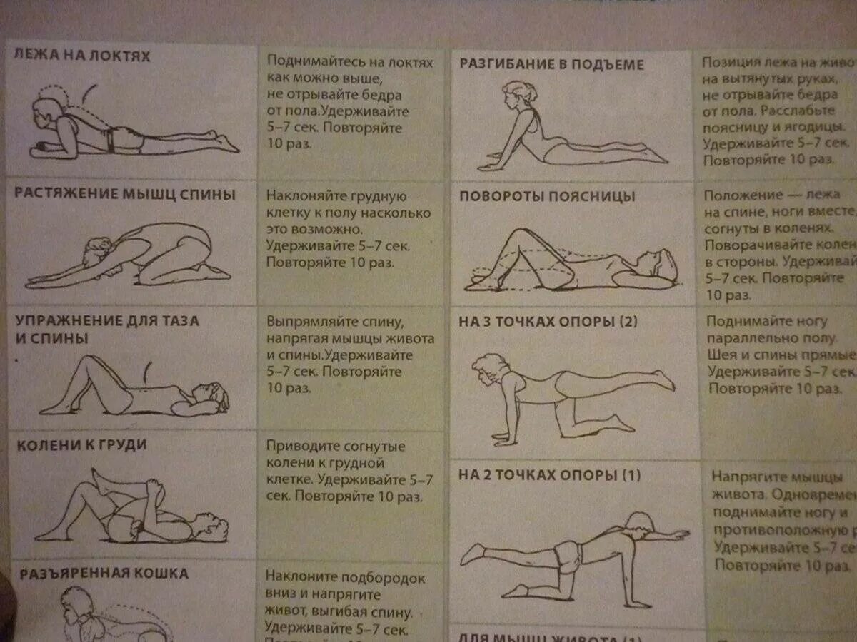 Упражнения для позвоночника при сколиозе