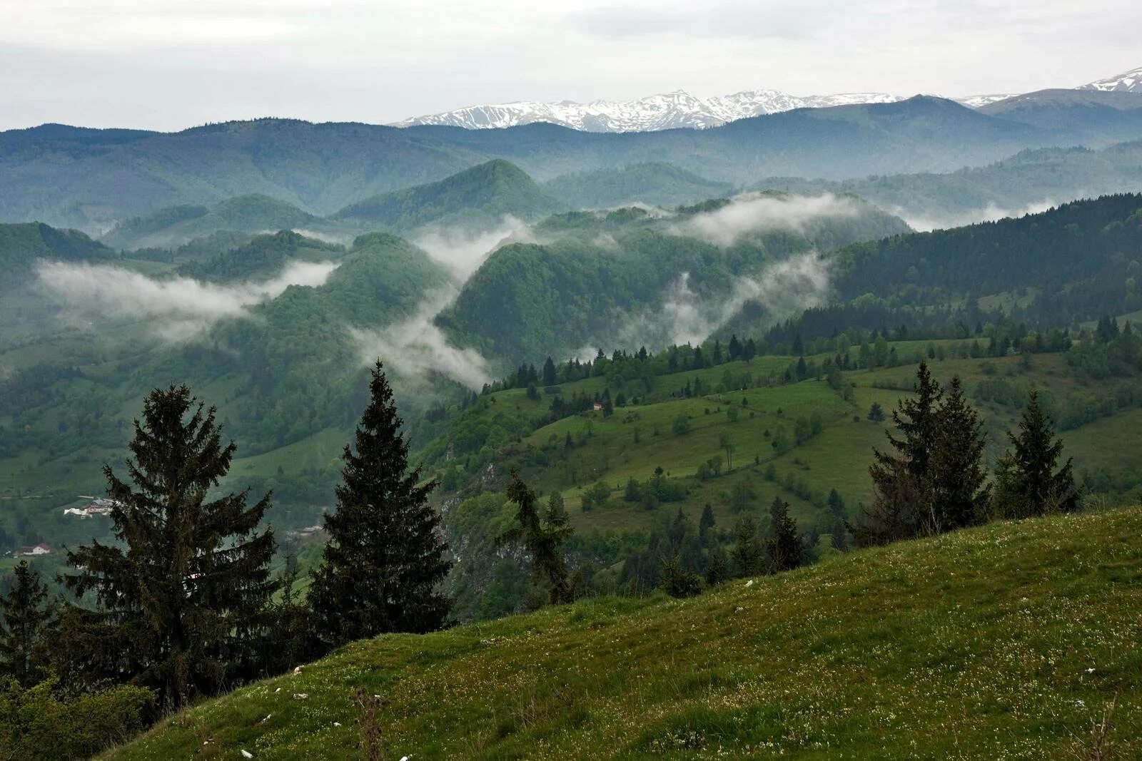 Т в лесах и на горах