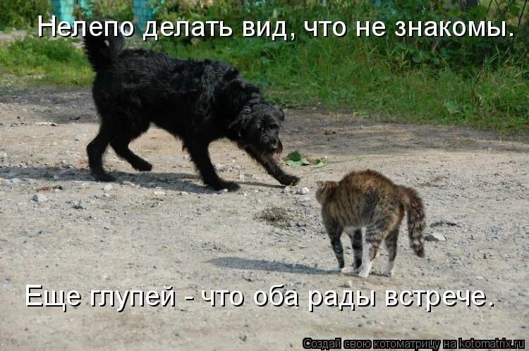 сделаем вид что не знакомы. делаю вид что не прочитала сообщ. делай вид что работаешь. мем не знаю. работать делать вид что работаешь.