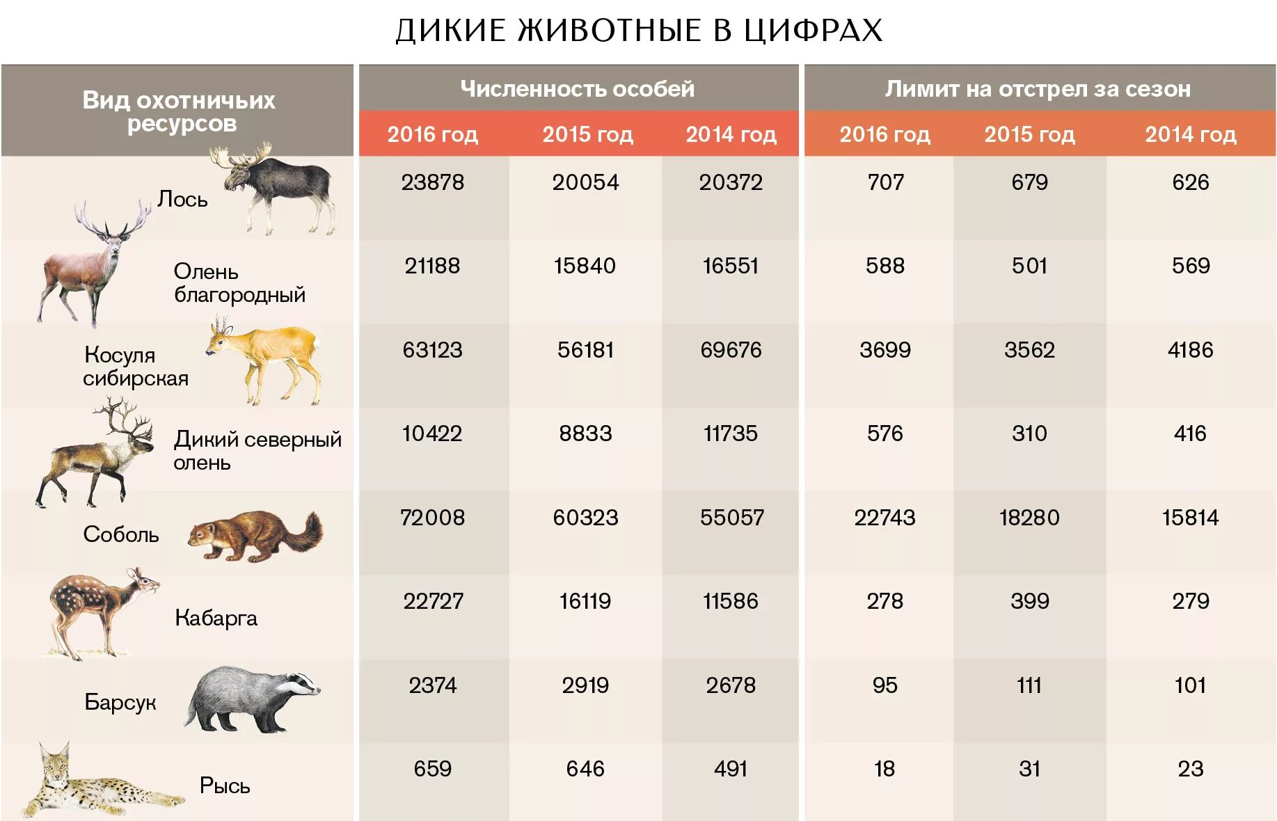 Какое животное выше. Численность животных. Количество видов животных. Статистика вымирания животных. Численность животных в России.