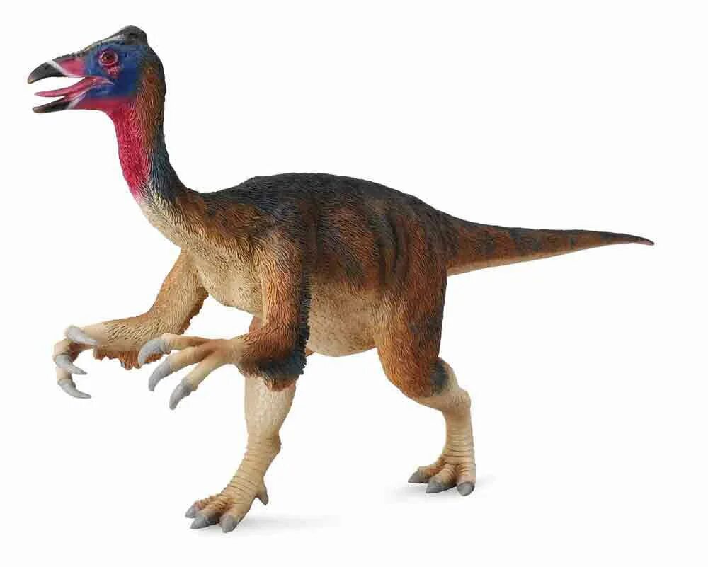 Dinosaur models