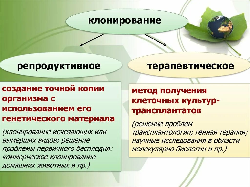 Виды клонирования. Репродуктивное и терапевтическое клонирование. Клонирование вид биотехнологии. Цель терапевтического клонирования.