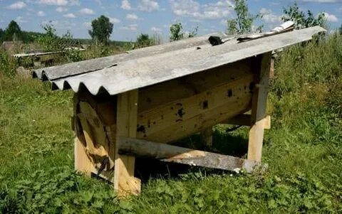 Колодник