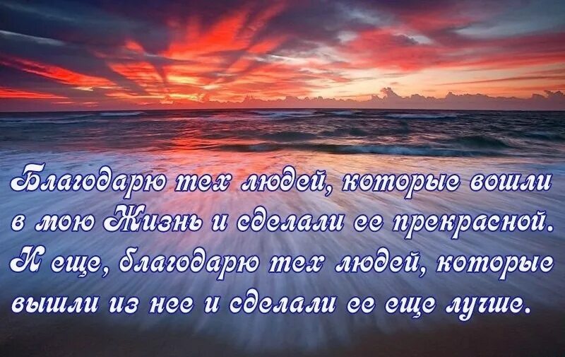 Благодарность жизненный опыт