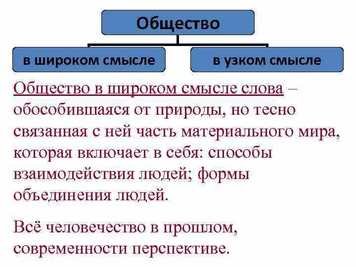 Общество в широком смысле слова есть