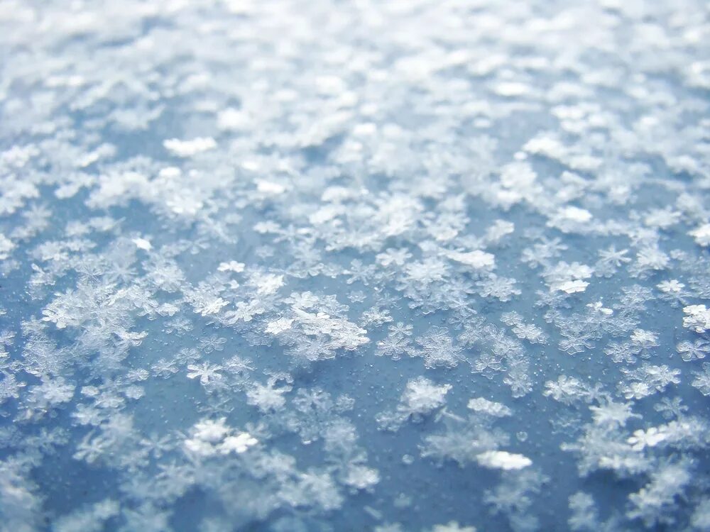 Снег пушистый падает с неба. Хлопья снега. Снежинки падают. Снег картинки. Падающий снег.
