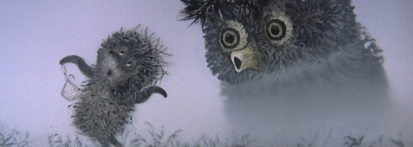 Ежик алкаш. Ежик в тумане рисунок. Ежик в тумане. Ежик то тумана нет. Ёжик в тумане мемы.