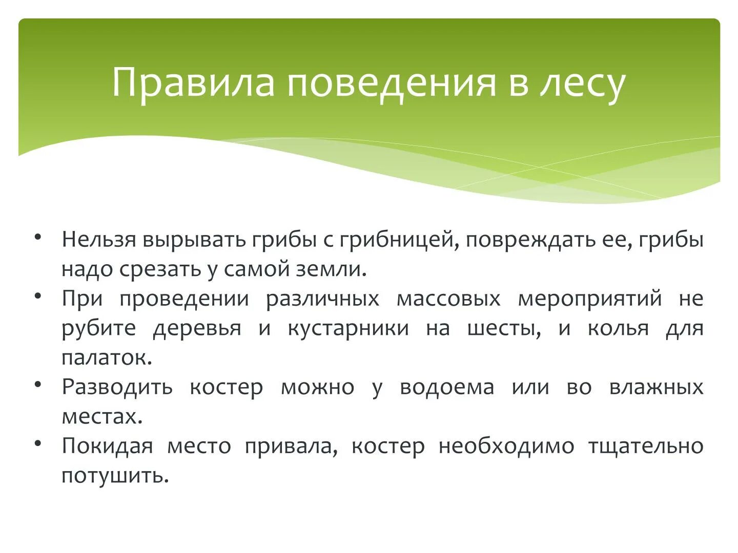 день леса текст. доклад на тему международный день лесов. всемирный день леса. международный день леса. международный день лесов доклад.