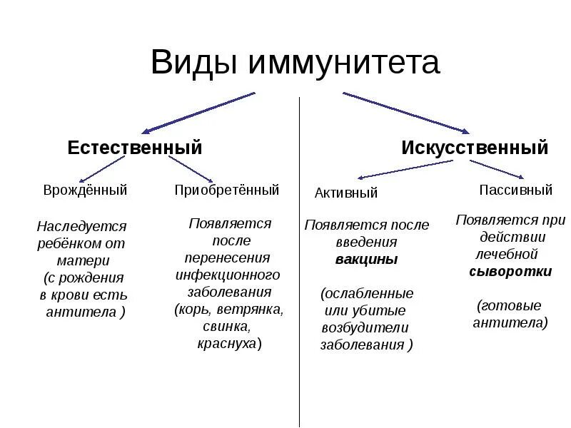 Виды иммунитета микробиология схема. Иммунитет виды иммунитета. Виды иммунитета врожденный и приобретенный таблица. Виды иммунитета. Классификация иммунитета схема.