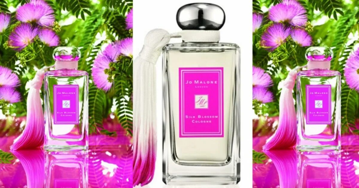 Jo Malone Silk Blossom Cologne. Silk Blossom (2017) Jo Malone London. Jo Malone Sakura Cherry Blossom 2020. Jo malone silk blossom