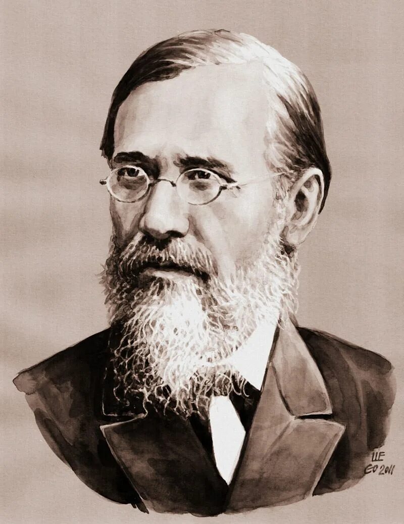 лучшие авторы историки