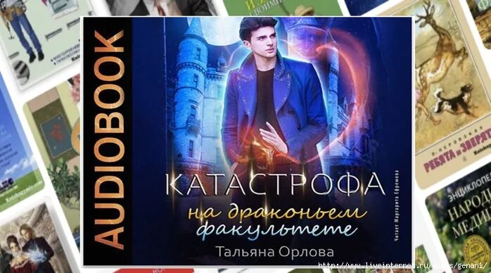 Читать скандал на драконьем факультете. Катастрофа на драконьем факультете. драконий факультет аудиокнига.