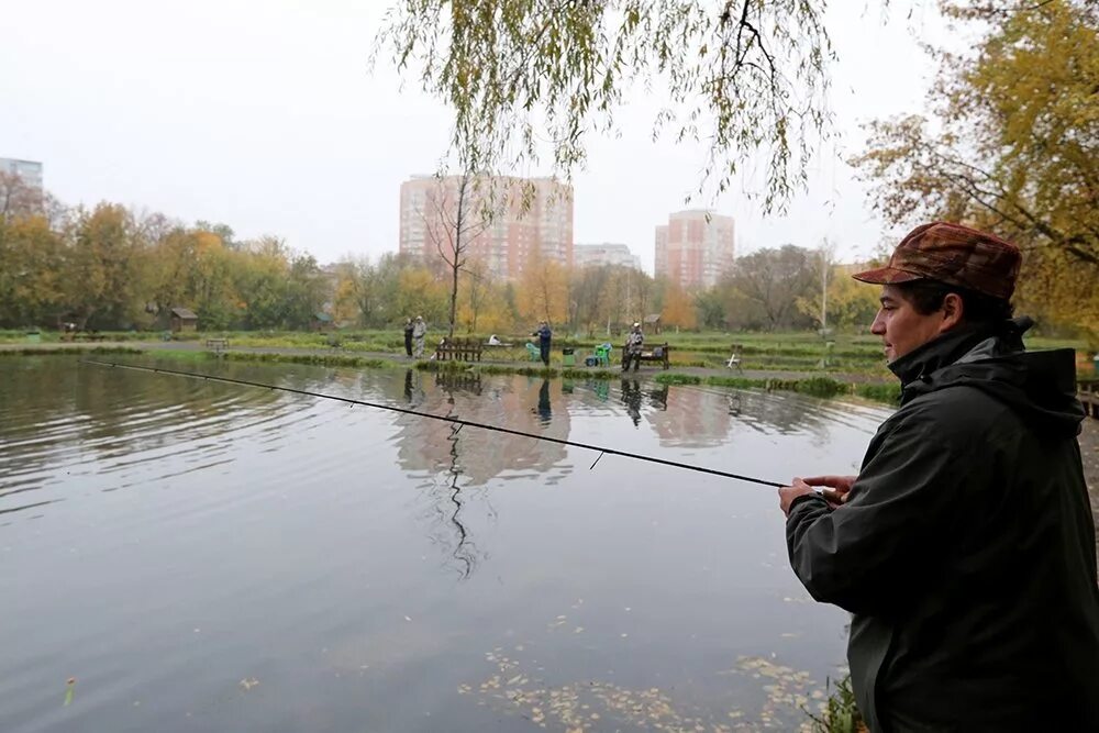 Московские пруды рыбалка. Платная рыбалка в Москве. Большой Крылатский пруд.