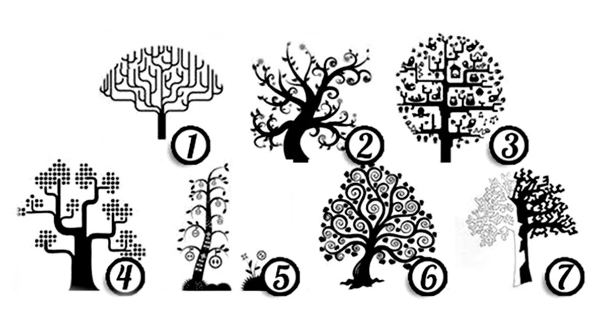 Тест жизнь семья. Дерево тестирования. Тест дерево. Тест деревья психология. Тест выбери дерево на картинке.