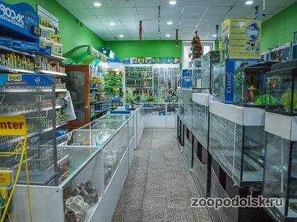Магазин животный мир
