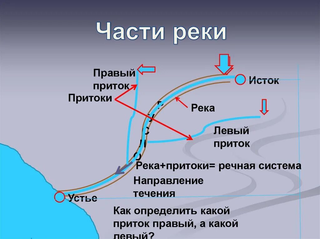 Направление течения. Правый и левый приток. Направление рек. Правый и левый приток реки. Притоки порядку