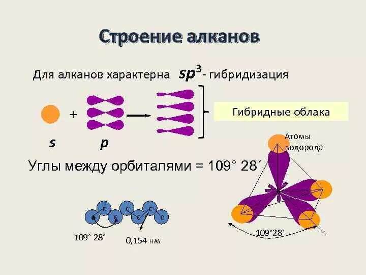 Алканы имеют молекулярное. Строение алканов sp3 гибридизация. Алканы строение sp3 гибридизация. Строение молекулы алкенов. Электронное строение sp3-гибридизация алканов.