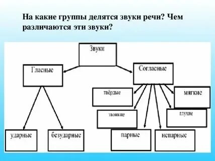 На какие 2 большие группы делятся звуки