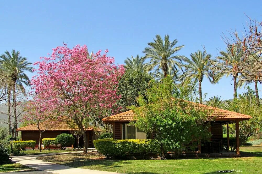 Кибуцы в израиле что это. Кибуц нирам. Квест по кибуцу нир-давид. Нир ям кибуц. Кибуц ревивим.