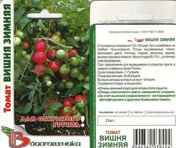 Томат зимние характеристика и описание сорта. Томат черри зимняя вишня. томат зимняя вишня биотехника. помидоры зимняя вишня описание. зимняя вишня помидоры описание сорта.