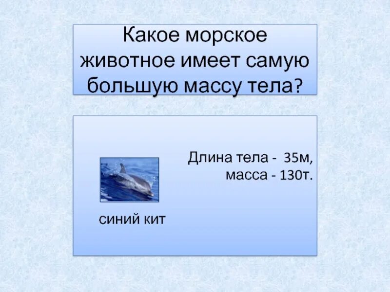 Какую длину имеют животные. Какое Морское животное имеет самую большую массу тела.