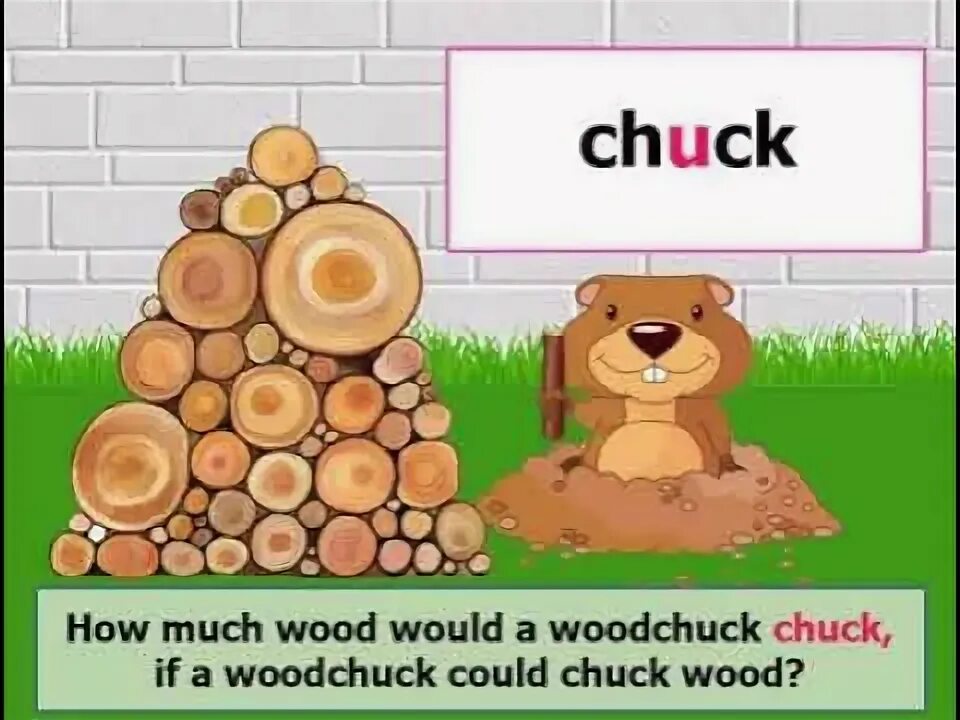 Woodchuck скороговорка. How much Wood would a Woodchuck Chuck скороговорка. Wood Chuck Wood скороговорка. Скороговорка Вуд Чак Чак.