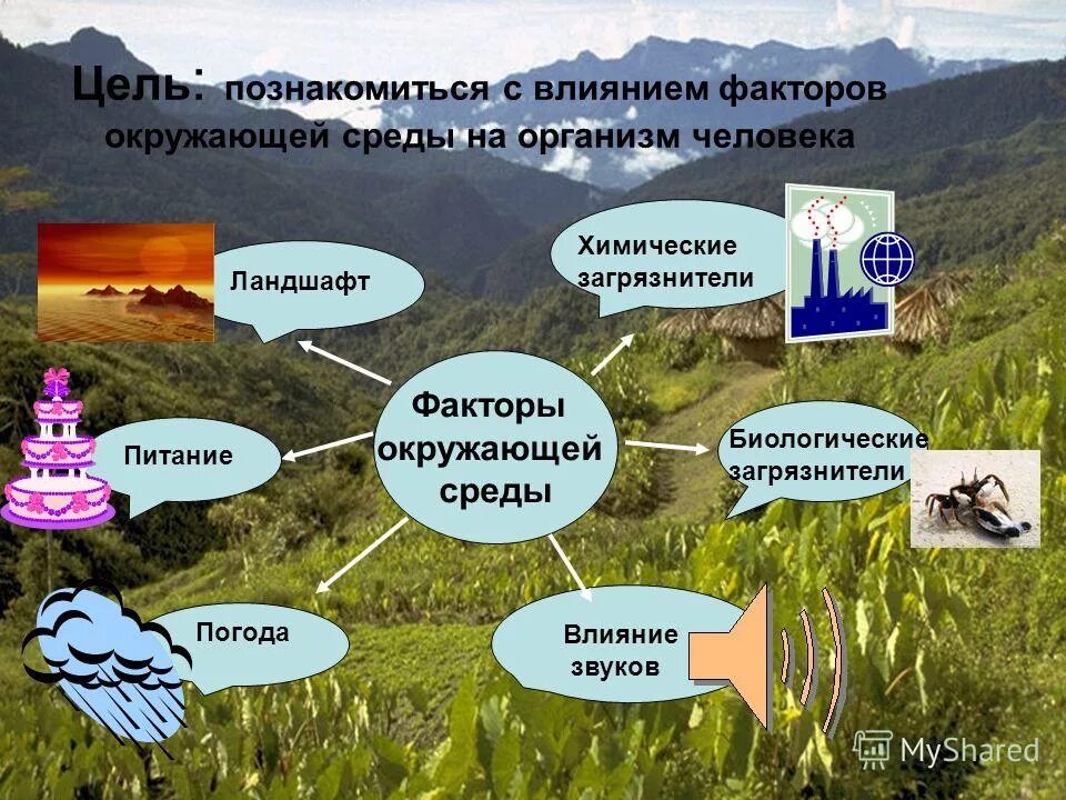 Воздействие факторов окружающей среды на организм человека. Факторы окружающей среды на здоровье человека. Влияние факторов окружающей среды на здоровье человека. Факторы окружающей среды влияющие на человека. Как называют компоненты окружающей среды влияющие