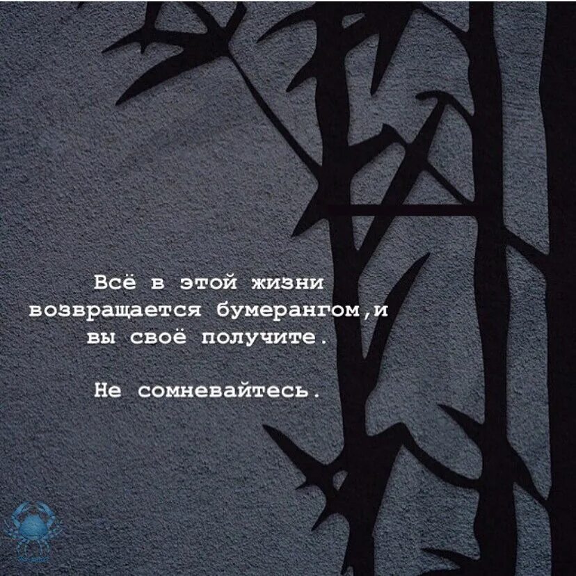 Слезам все вернется. Бумеранг вернется. Бумеранг всегда возвращается. Всё в этой жизни возвращается. Жизнь возвращается бумерангом.