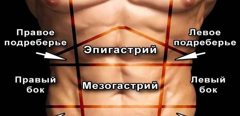 Какие органы в левом подреберье. Боль в левом подреберье. болит левый бок под ребрами. боль в нижнем левом подреберье. левое нижнее подреберье болит.
