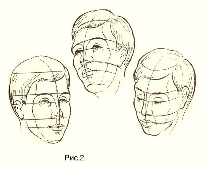 Рисунок лица 1 3. Пропорции головы сбоку. Зарисовки головы человека. Пропорции головы человека для рисования. Этапы рисования головы.