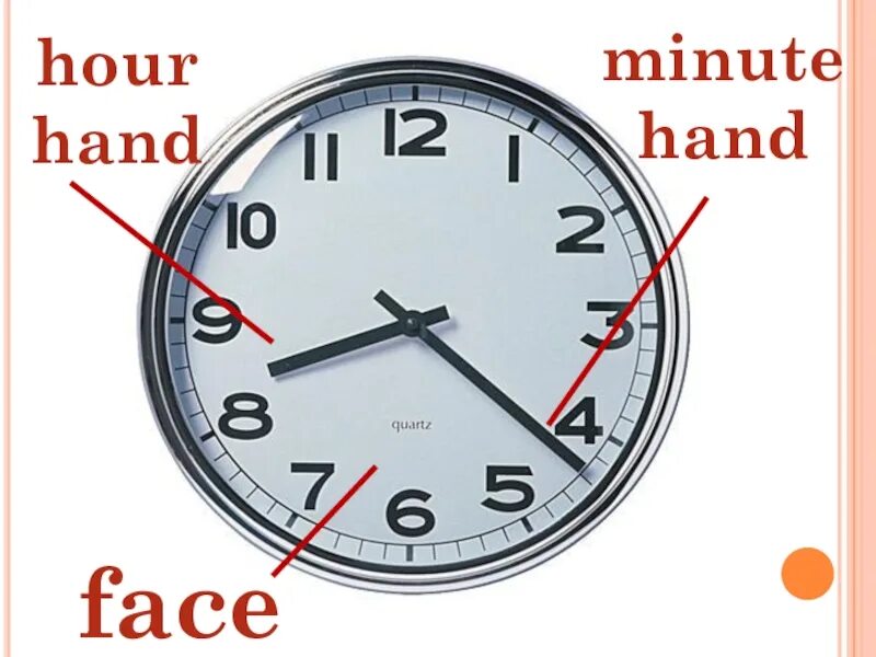Минут перевести на английский. Hour hand. Minutes часы. Minute hand. Часы на английском для детей в картинках.