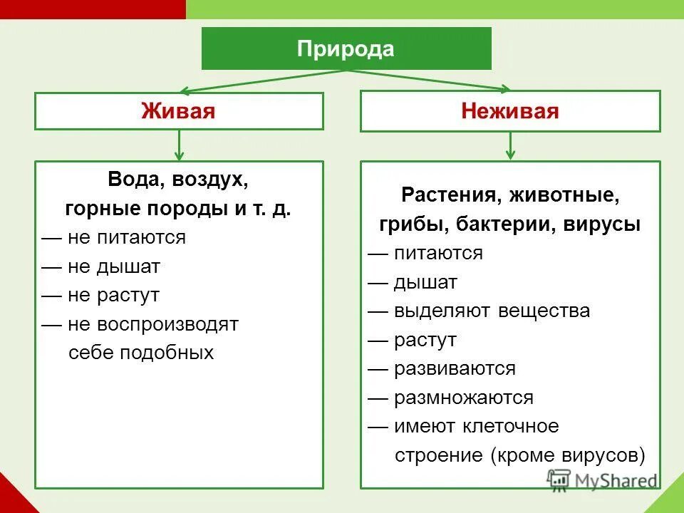 Различия живой и неживой природы