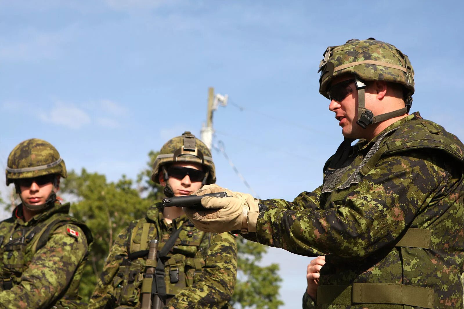 Canadian army